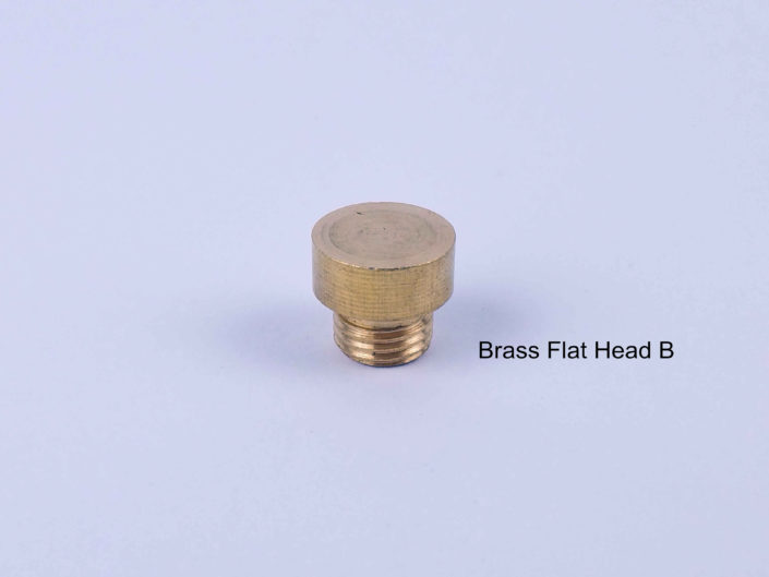 Door Hinge Brass Heads: #FlatHeadB